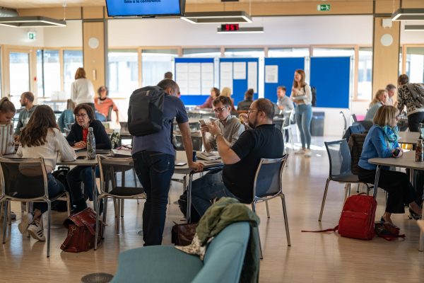 Conférences des professeurs